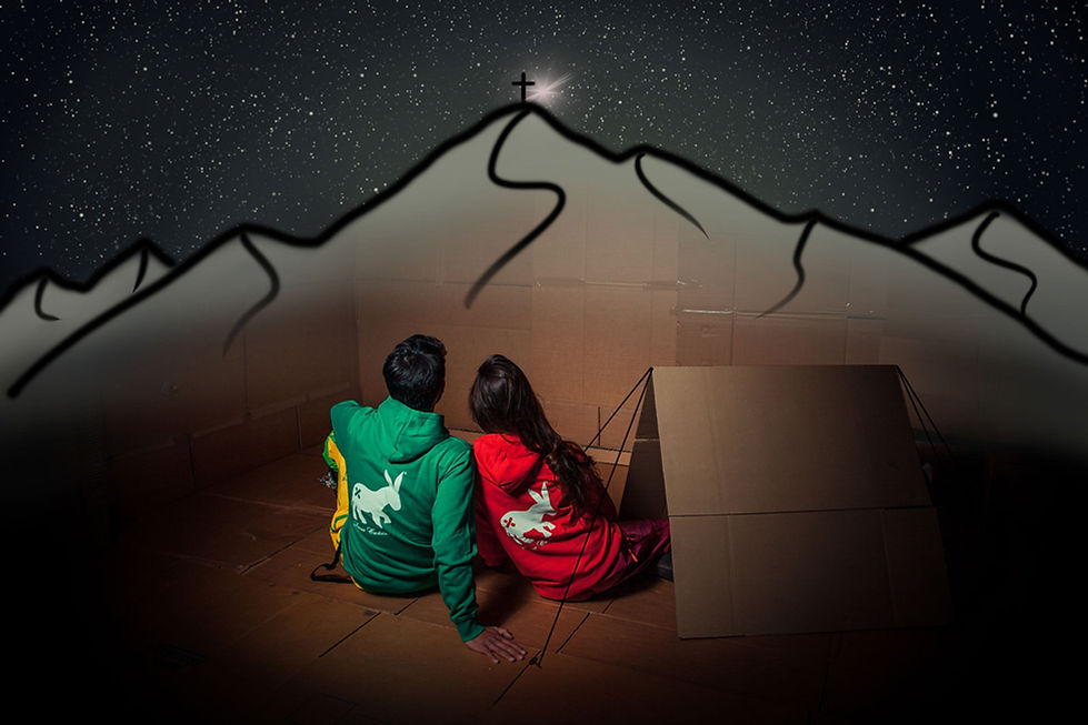 Maglia Hoodie Donna Glacierose